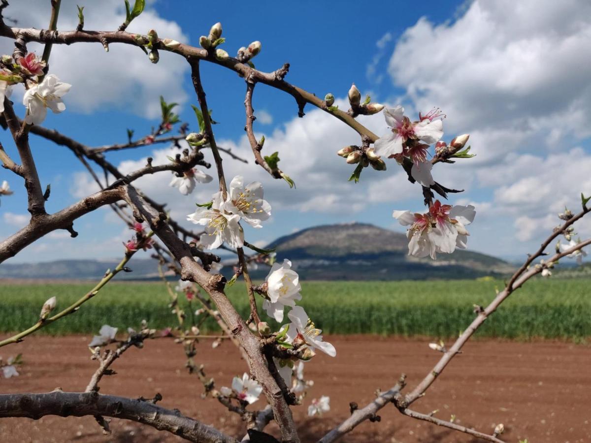 Pensjonat Galilee Best Location 'En Dor Zewnętrze zdjęcie