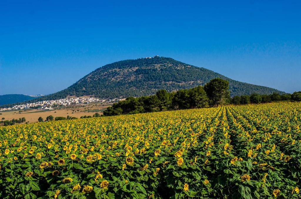 Pensjonat Galilee Best Location 'En Dor Zewnętrze zdjęcie